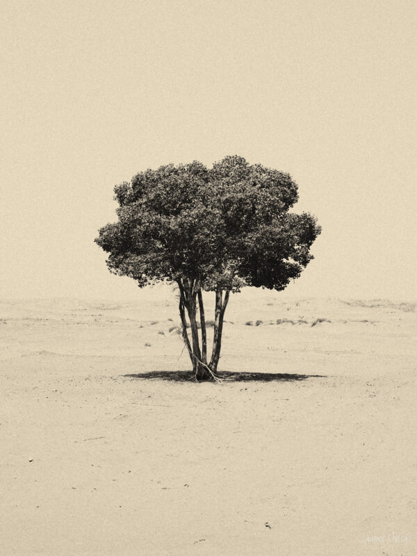 Minimalisme sépia